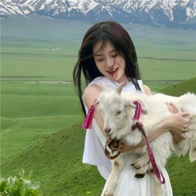 杜宾巡官：敌对姐妹